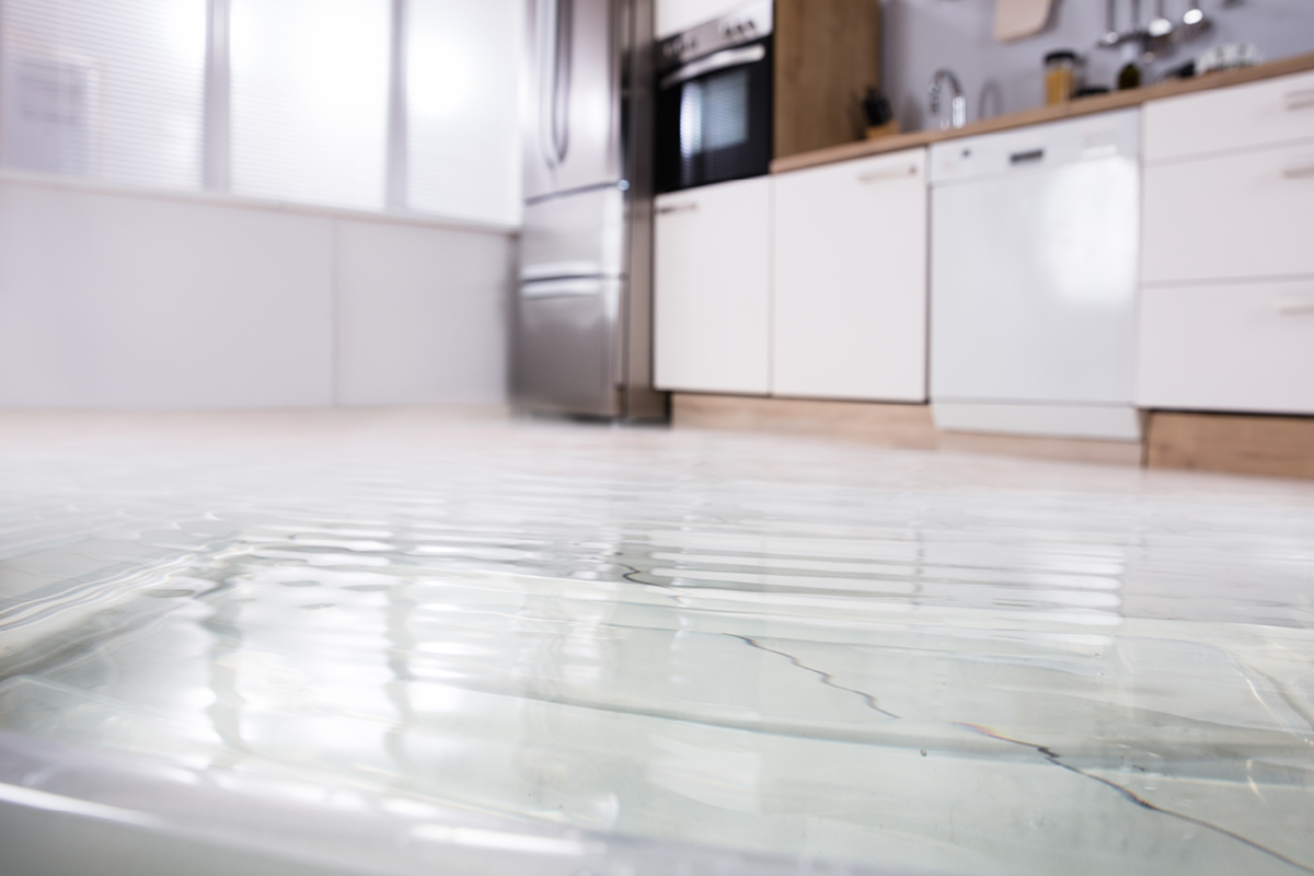 Quelle assurance intervient en cas de dégât d’eau ou de dommage naturel causés dans mon appartement en location ?>